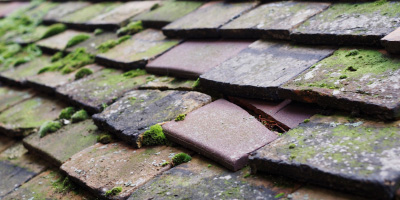 St Maughans roof repair costs